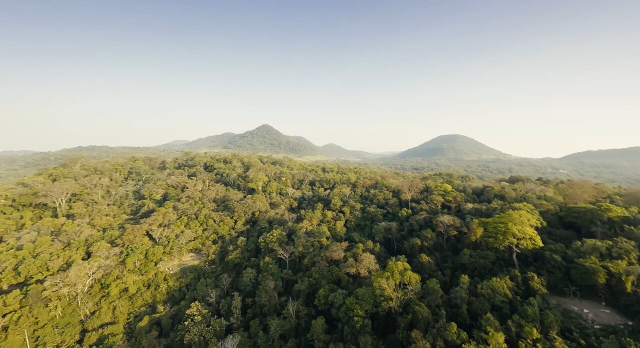 Vista Alegre Natural Resort se alzó con el galardón de Triple Impacto 2024. Foto: captura de pantalla.